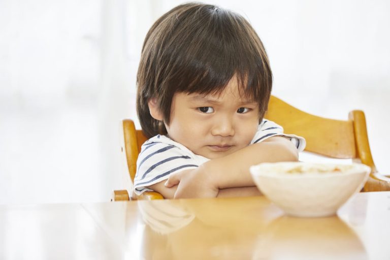 cara mengatasi anak susah makan